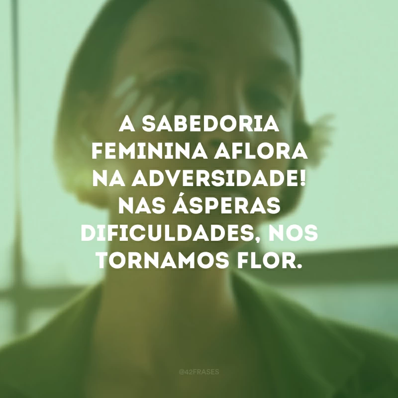 A sabedoria feminina aflora na adversidade! Nas ásperas dificuldades, nos tornamos flor.