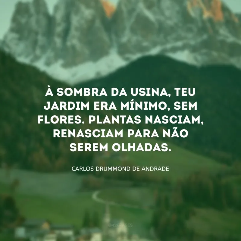 À sombra da usina, teu jardim era mínimo, sem flores. Plantas nasciam, renasciam para não serem olhadas.