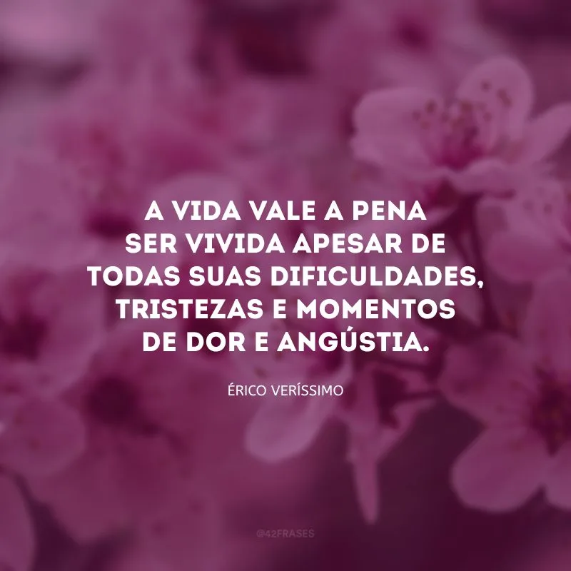 A vida vale a pena ser vivida apesar de todas suas dificuldades, tristezas e momentos de dor e angústia.
