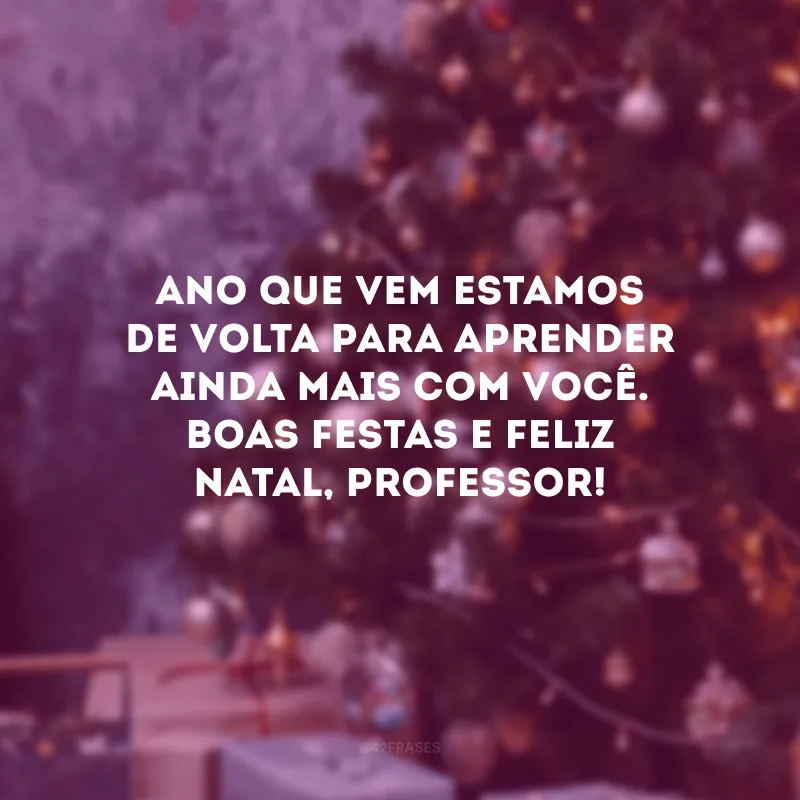 Ano que vem estamos de volta para aprender ainda mais com você. Boas Festas e Feliz Natal, professor!