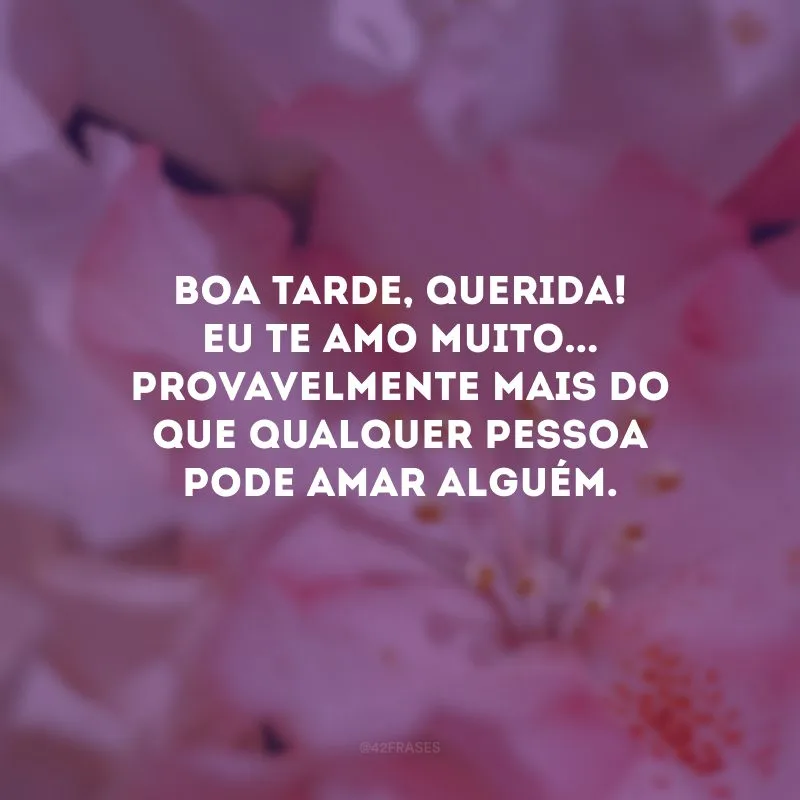 Boa tarde, querida! Eu te amo muito... Provavelmente mais do que qualquer pessoa pode amar alguém. 