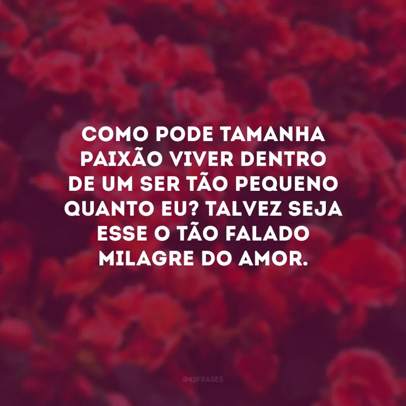Como pode tamanha paixão viver dentro de um ser tão pequeno quanto eu? Talvez seja esse o tão falado milagre do amor.