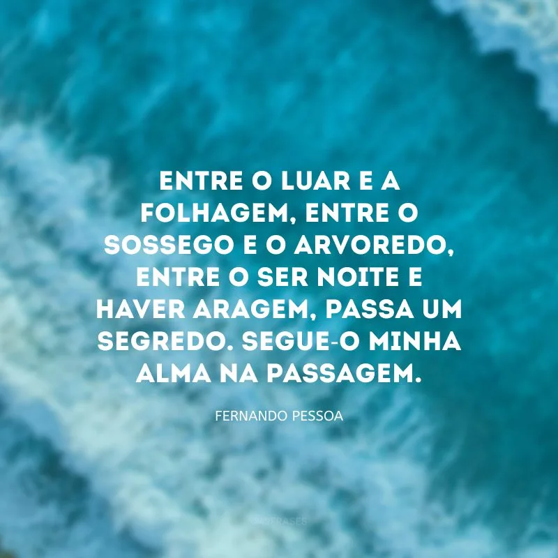 Entre o luar e a folhagem, entre o sossego e o arvoredo, entre o ser noite e haver aragem, passa um segredo. Segue-o minha alma na passagem.