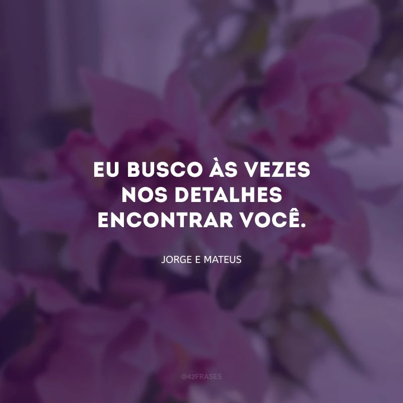 Eu busco às vezes nos detalhes encontrar você.