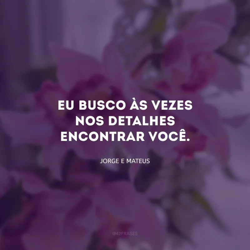 Eu busco às vezes nos detalhes encontrar você.