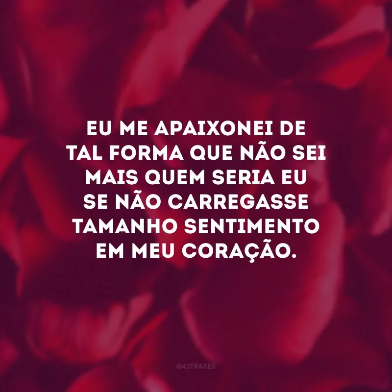 Eu me apaixonei de tal forma que não sei mais quem seria eu se não carregasse tamanho sentimento em meu coração.
