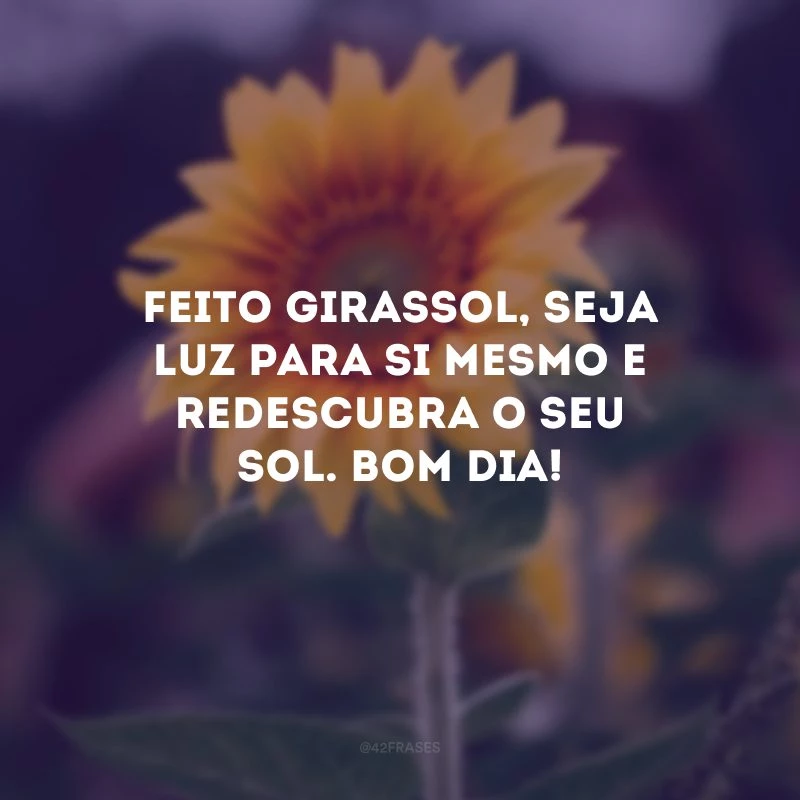 Feito girassol, seja luz para si mesmo e redescubra o seu sol. Bom dia!