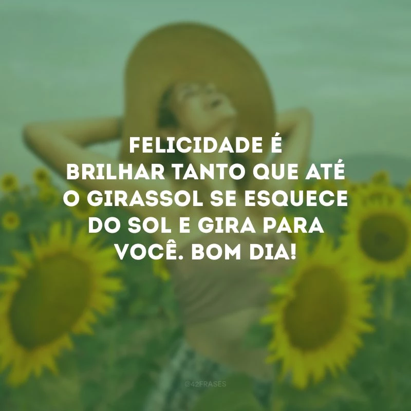 Felicidade é brilhar tanto que até o girassol se esquece do sol e gira para você. Bom dia! 