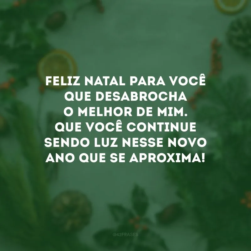 Feliz Natal para você que desabrocha o melhor de mim. Que você continue sendo luz nesse novo ano que se aproxima!