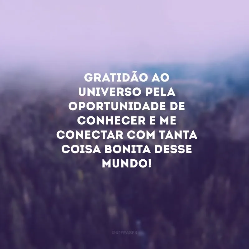 Gratidão ao universo pela oportunidade de conhecer e me conectar com tanta coisa bonita desse mundo! 