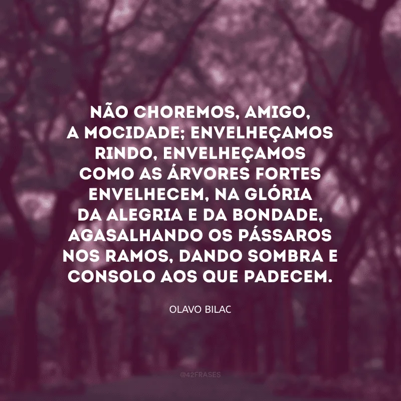 Não choremos, amigo, a mocidade; envelheçamos rindo, envelheçamos como as árvores fortes envelhecem, na glória da alegria e da bondade, agasalhando os pássaros nos ramos, dando sombra e consolo aos que padecem.