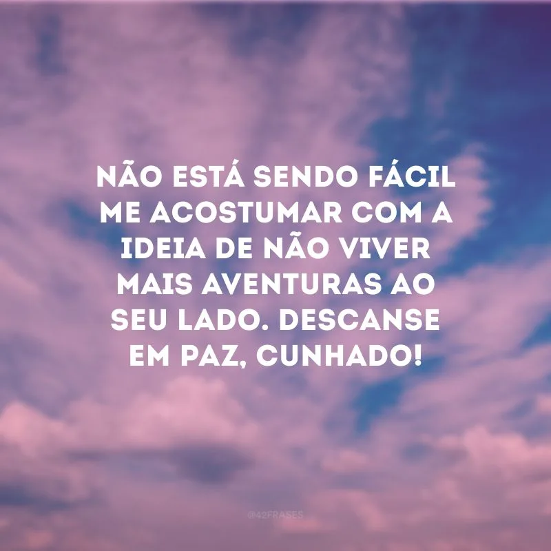 Não está sendo fácil me acostumar com a ideia de não viver mais aventuras ao seu lado. Descanse em paz, cunhado!