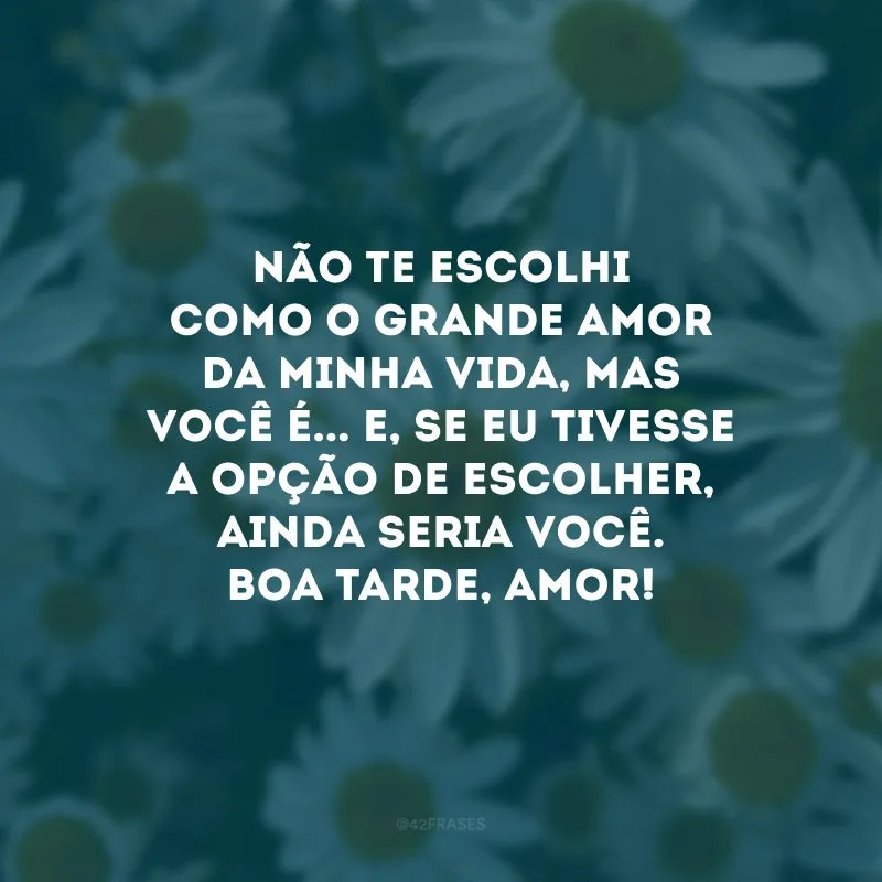 Não te escolhi como o grande amor da minha vida, mas você é... E, se eu tivesse a opção de escolher, ainda seria você. Boa tarde, amor! 