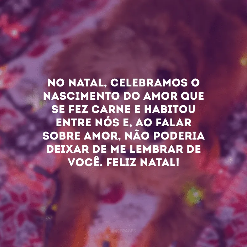 No Natal, celebramos o nascimento do Amor que se fez carne e habitou entre nós e, ao falar sobre amor, não poderia deixar de me lembrar de você. Feliz Natal!
