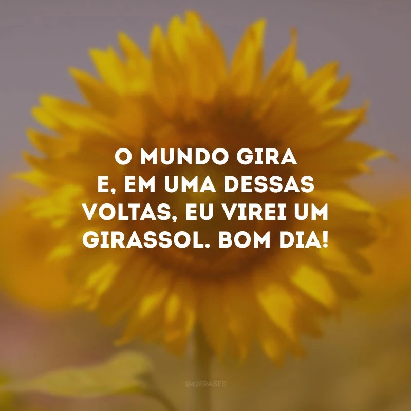 O mundo gira e, em uma dessas voltas, eu virei um girassol. Bom dia! 