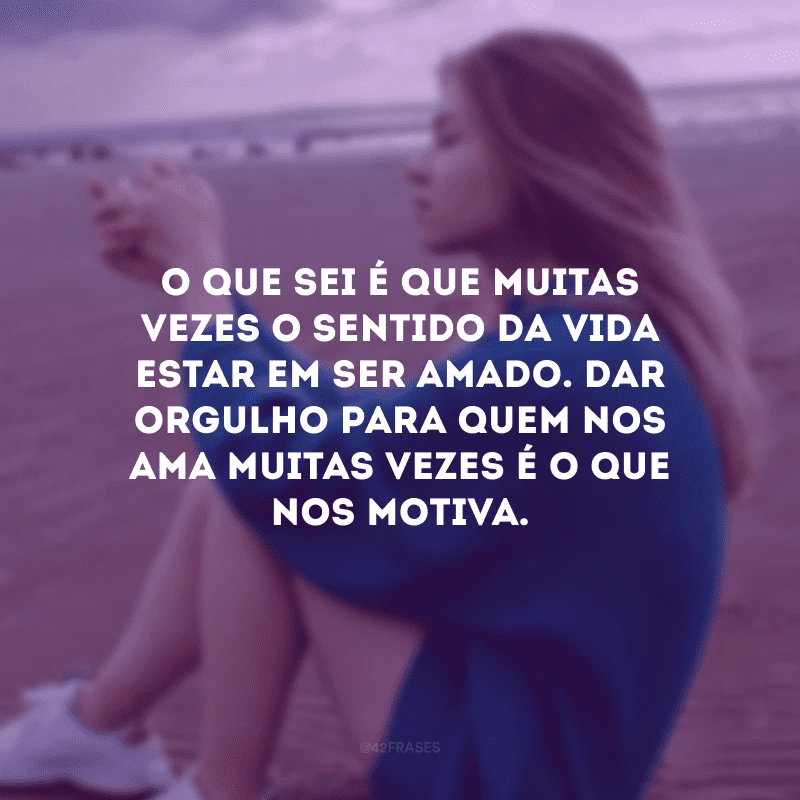 O que sei é que muitas vezes o sentido da vida estar em ser amado. Dar orgulho para quem nos ama muitas vezes é o que nos motiva.