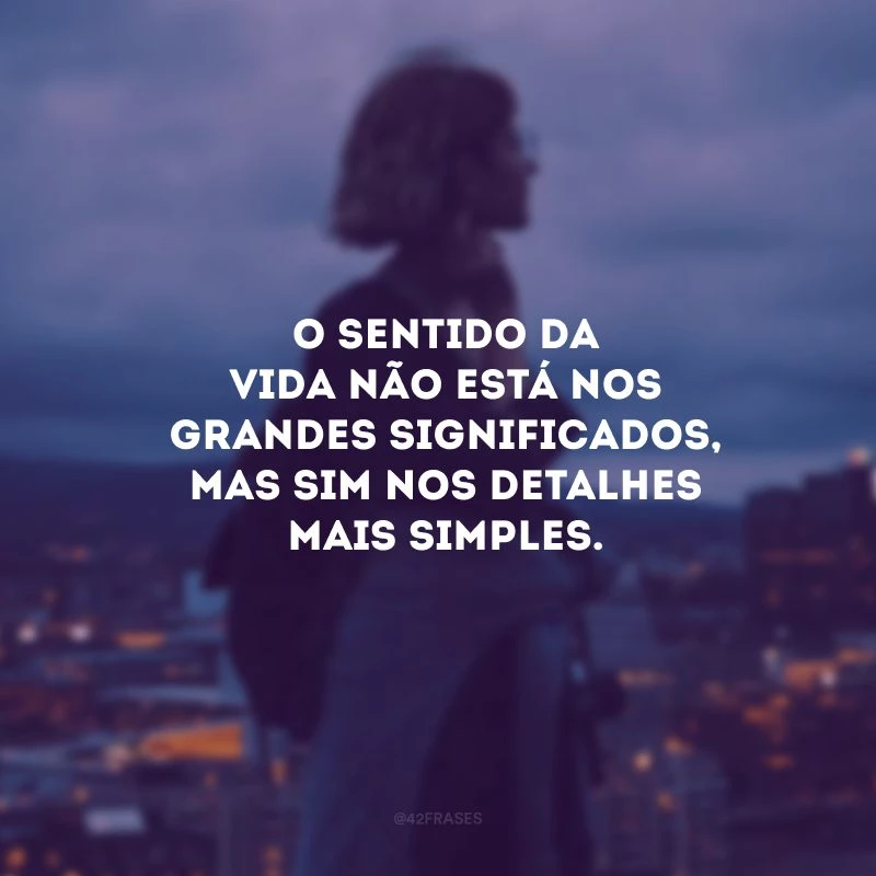 O sentido da vida não está nos grandes significados, mas sim nos detalhes mais simples.