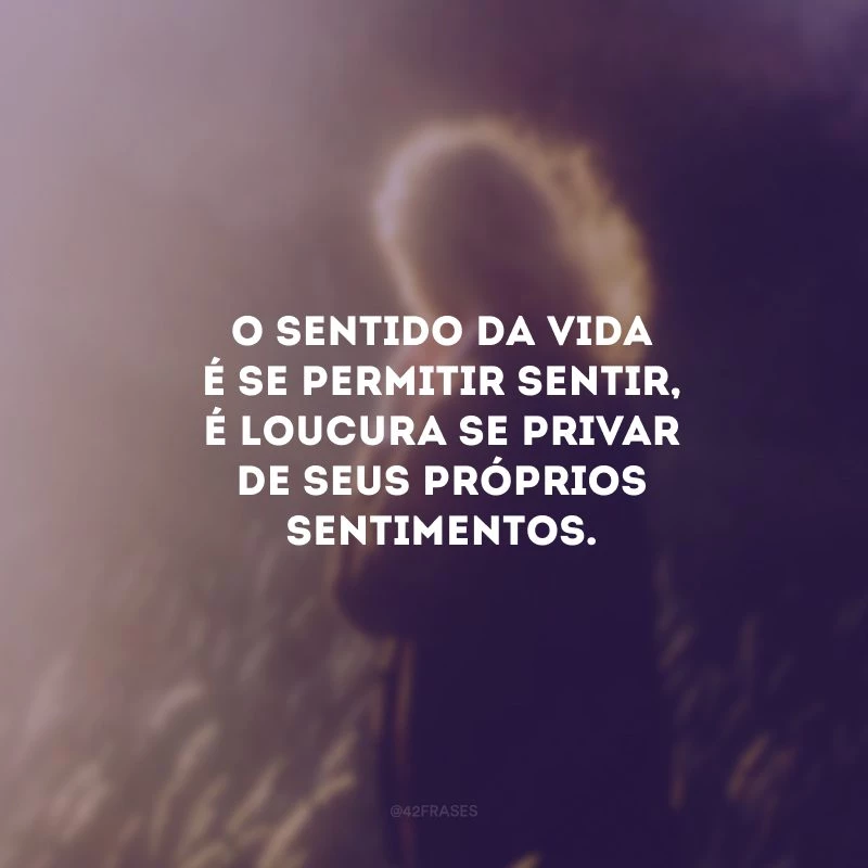 O sentido da vida é se permitir sentir, é loucura se privar de seus próprios sentimentos.
