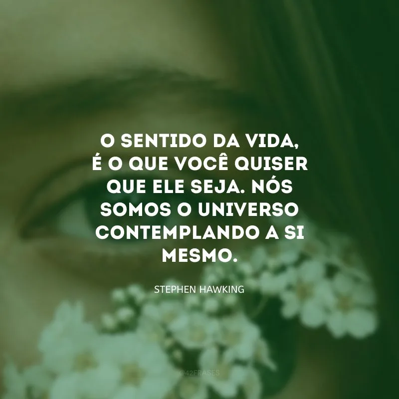O sentido da vida, é o que você quiser que ele seja. Nós somos o universo contemplando a si mesmo. 