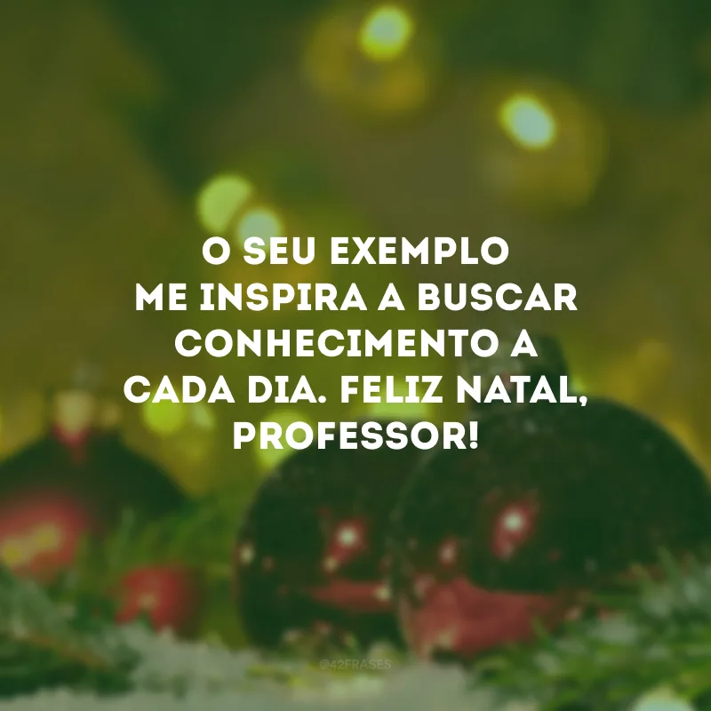 O seu exemplo me inspira a buscar conhecimento a cada dia. Feliz Natal, professor!