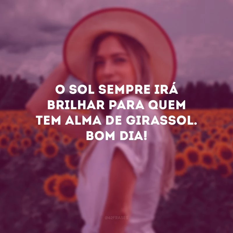 O sol sempre irá brilhar para quem tem alma de girassol. Bom dia! 