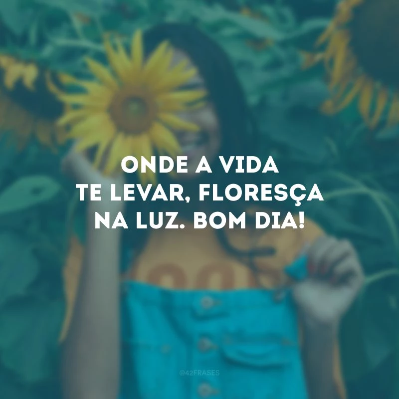 Onde a vida te levar, floresça na luz. Bom dia! 