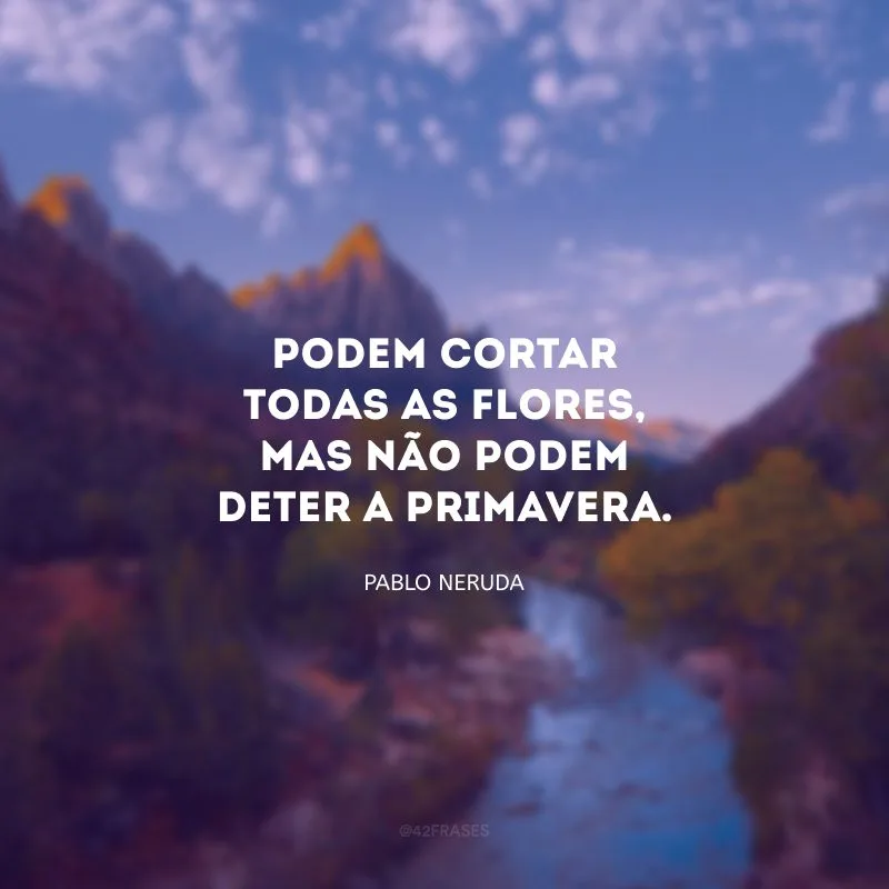 Podem cortar todas as flores, mas não podem deter a primavera.

