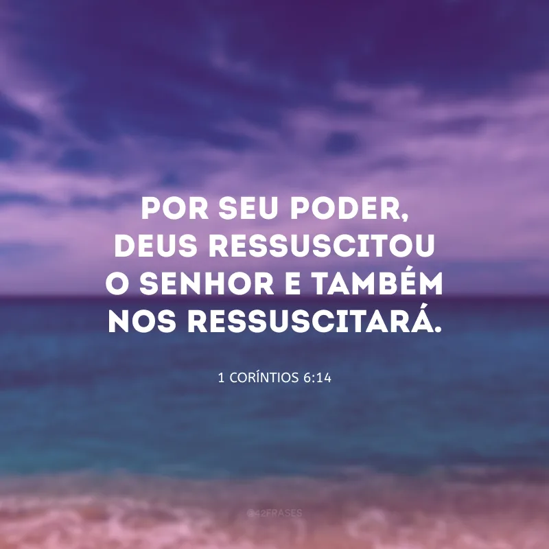 Por Seu poder, Deus ressuscitou o Senhor e também nos ressuscitará.