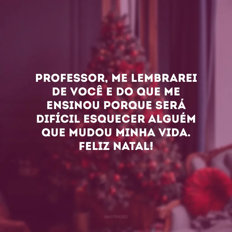 Professor, me lembrarei de você e do que me ensinou porque será difícil esquecer alguém que mudou minha vida. Feliz Natal!
