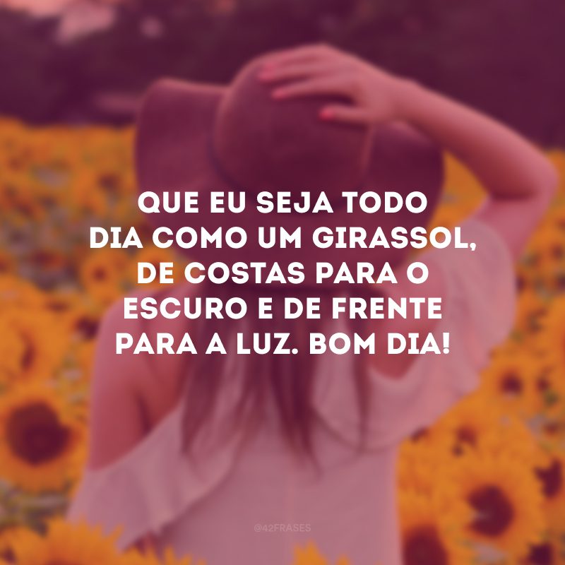 Que eu seja todo dia como um girassol, de costas para o escuro e de frente para a luz. Bom dia!