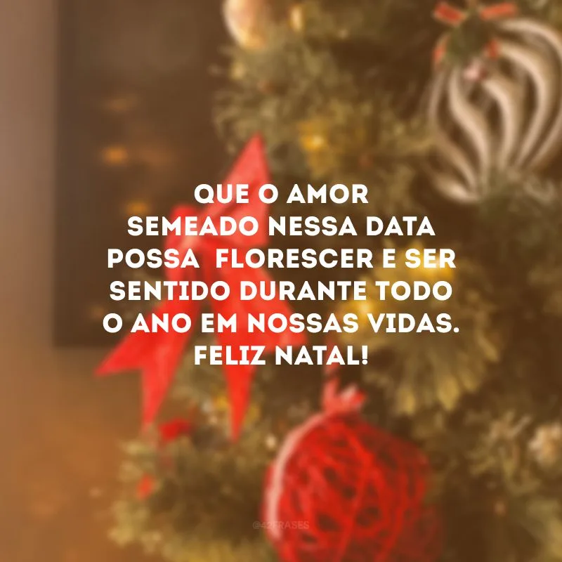 Que o amor semeado nessa data possa  florescer e ser sentido durante todo o ano em nossas vidas. Feliz Natal! 