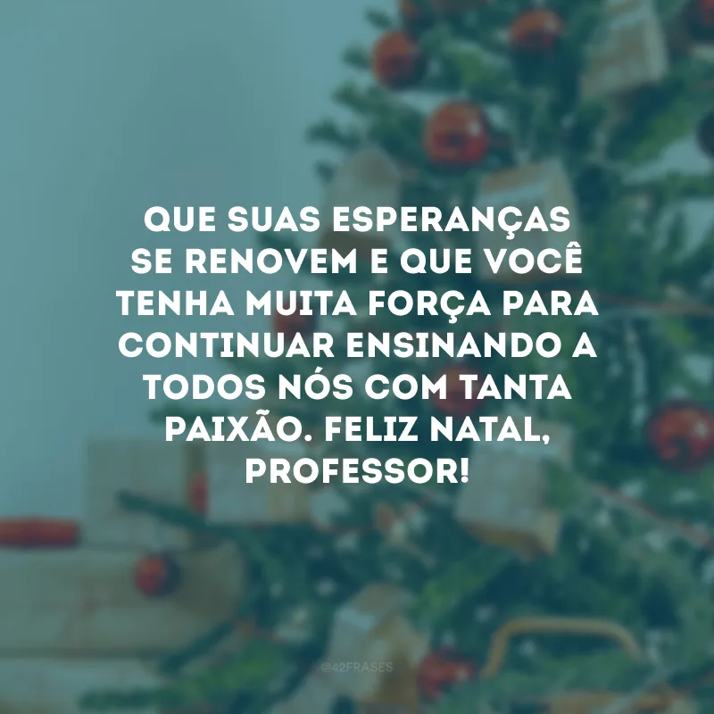 Que suas esperanças se renovem e que você tenha muita força para continuar ensinando a todos nós com tanta paixão. Feliz Natal, professor!