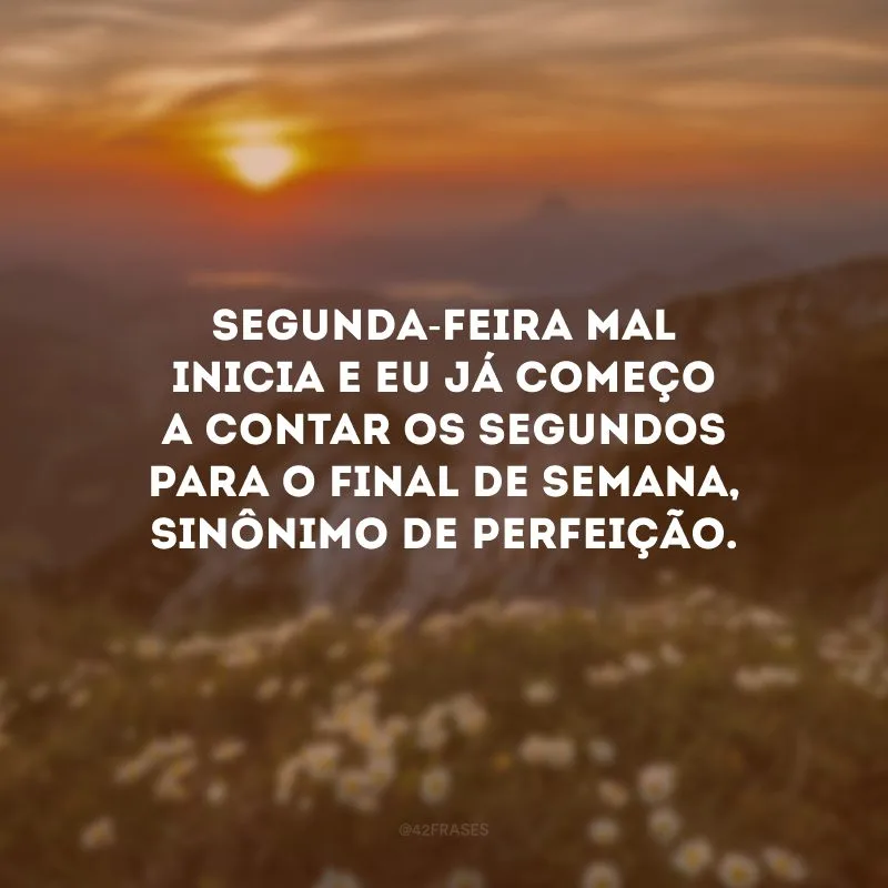 Segunda-feira mal inicia e eu já começo a contar os segundos para o final de semana, sinônimo de perfeição. 