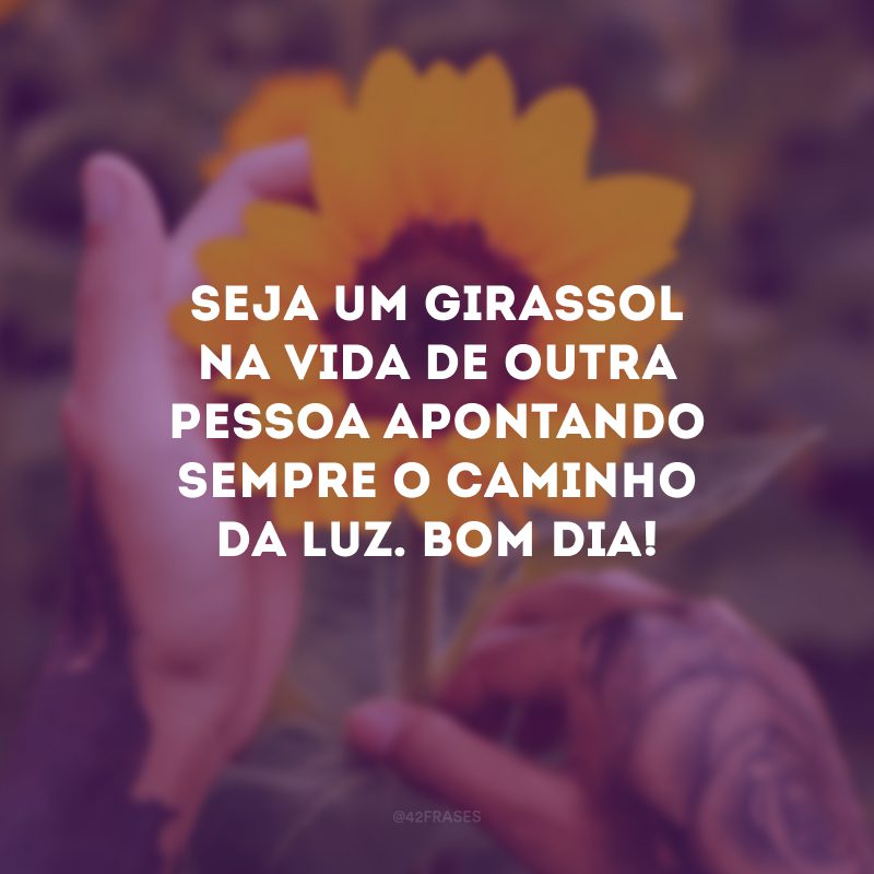 Seja um girassol na vida de outra pessoa apontando sempre o caminho da luz. Bom dia!