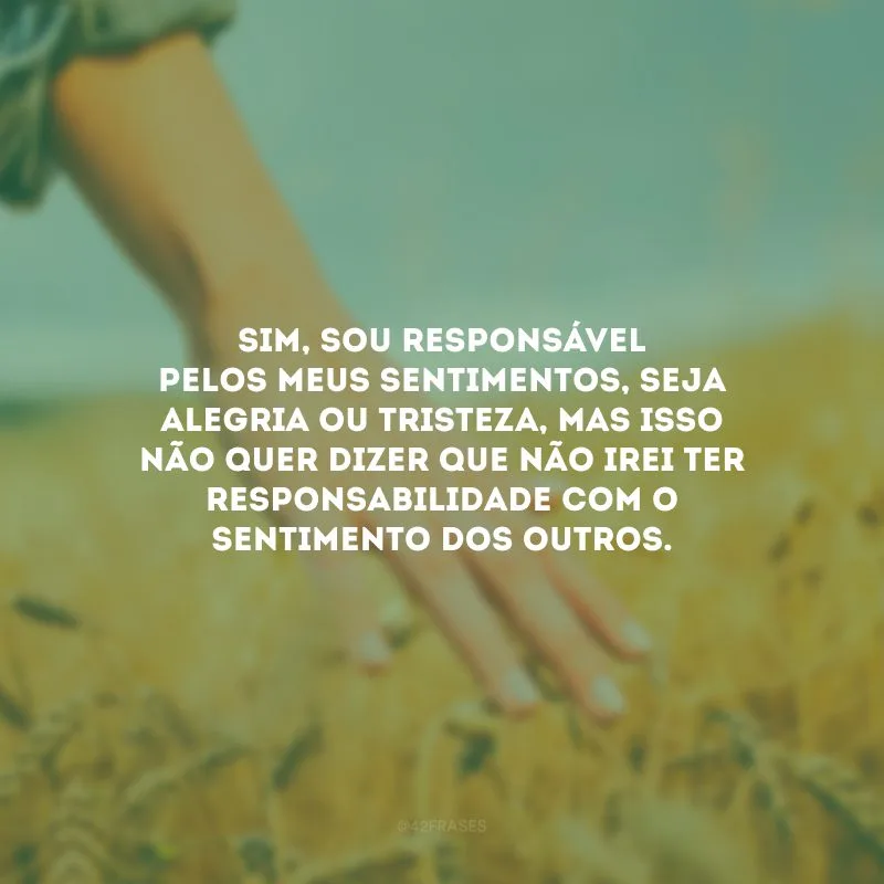 Sim, sou responsável pelos meus sentimentos, seja alegria ou tristeza, mas isso não quer dizer que não irei ter responsabilidade com o sentimento dos outros. 