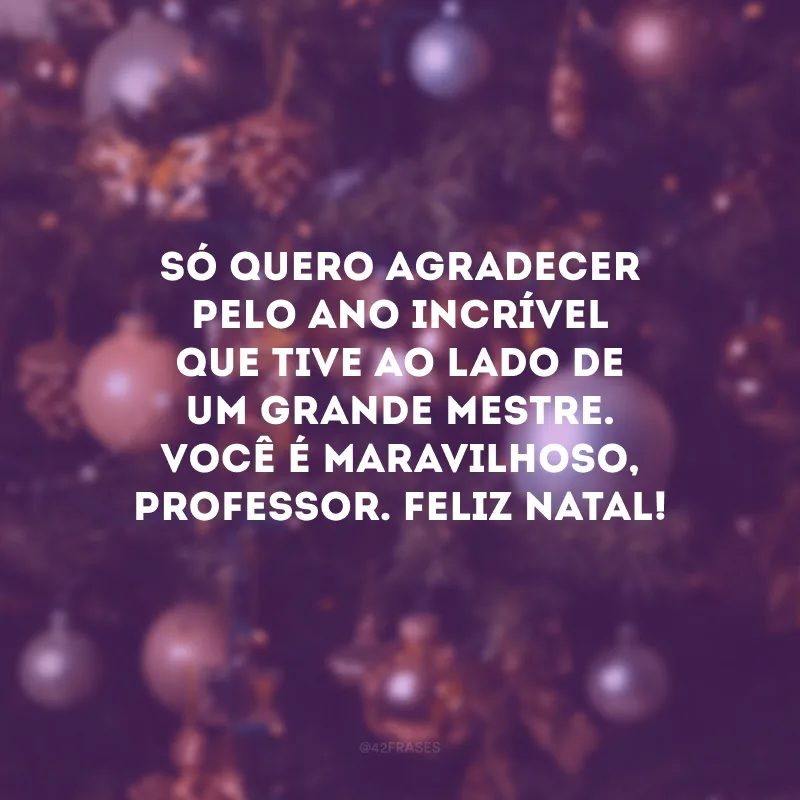 Só quero agradecer pelo ano incrível que tive ao lado de um grande mestre. Você é maravilhoso, professor. Feliz Natal!