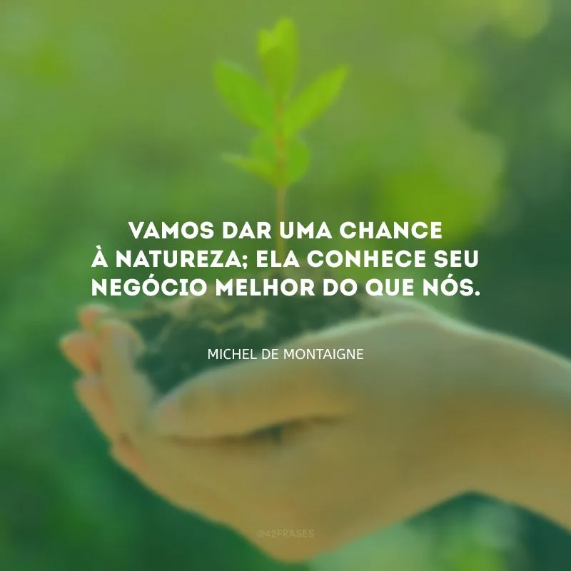 Vamos dar uma chance à natureza; ela conhece seu negócio melhor do que nós.