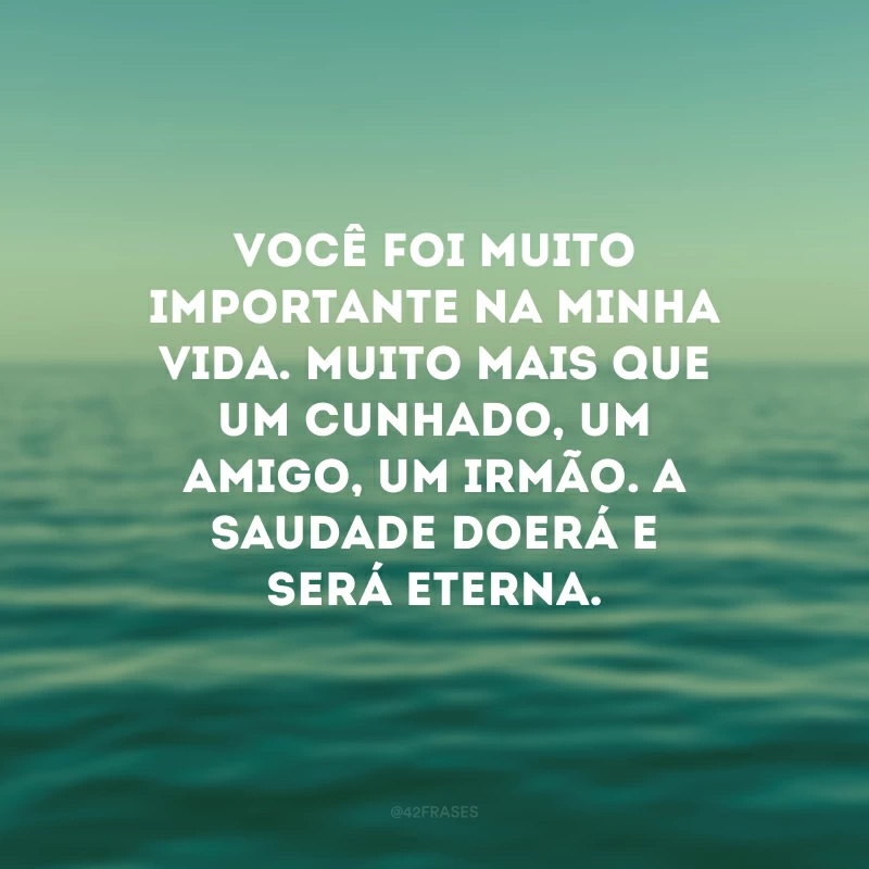 Você foi muito importante na minha vida. Muito mais que um cunhado, um amigo, um irmão. A saudade doerá e será eterna.