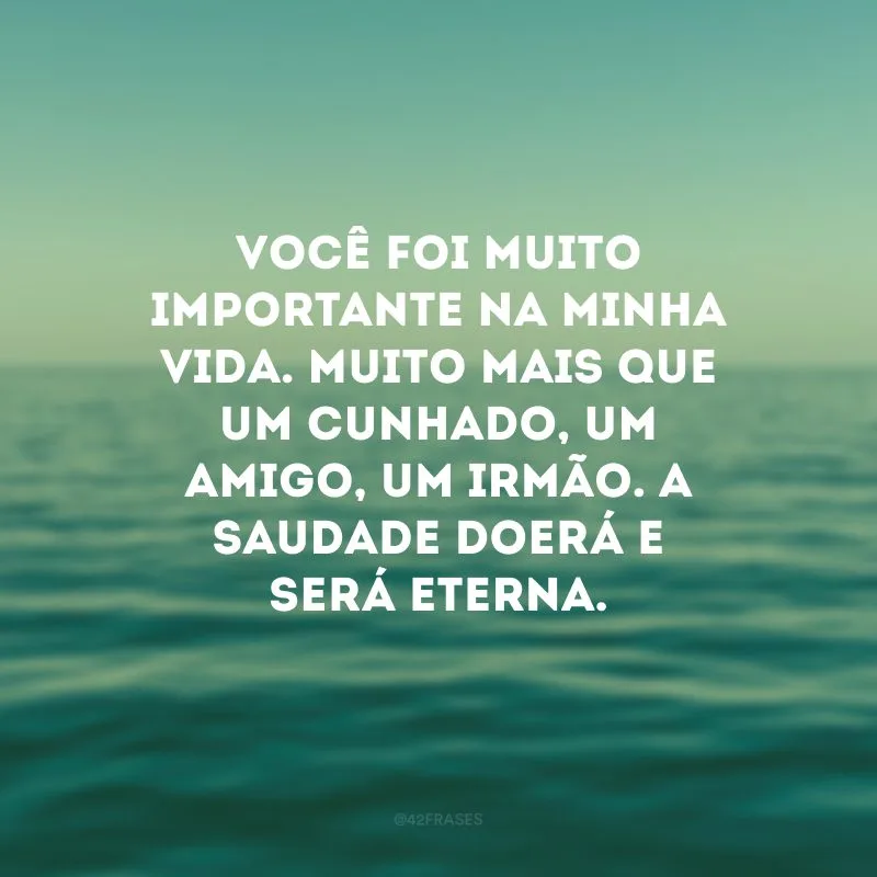 Você foi muito importante na minha vida. Muito mais que um cunhado, um amigo, um irmão. A saudade doerá e será eterna.