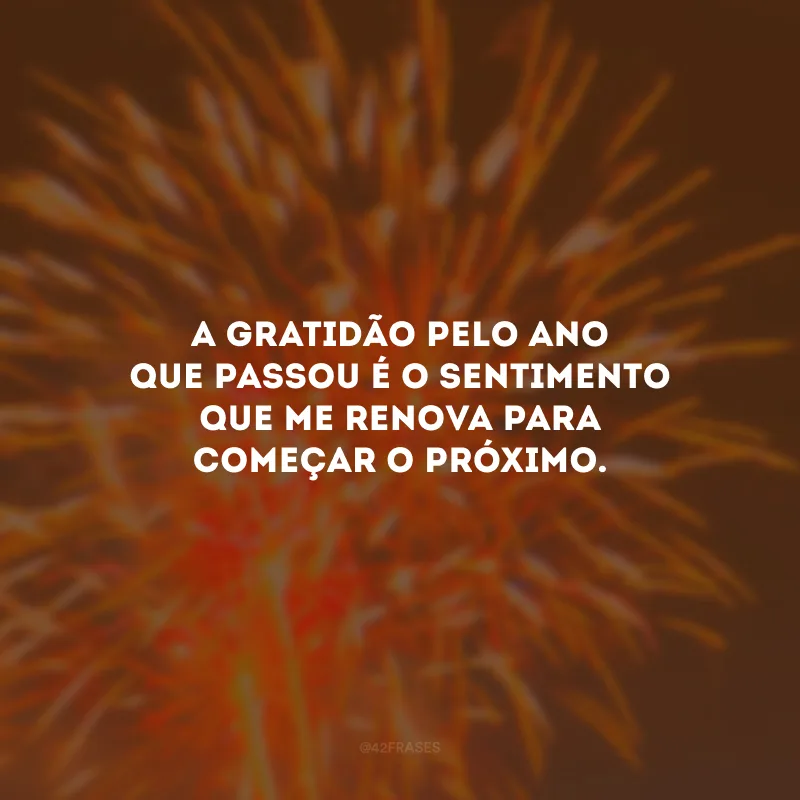 A gratidão pelo ano que passou é o sentimento que me renova para começar o próximo.