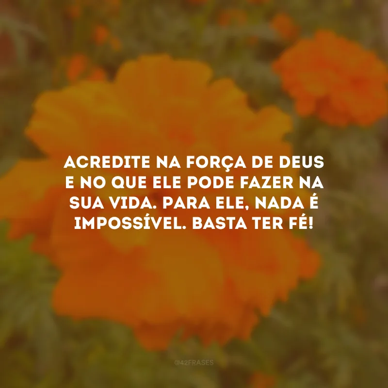Acredite na força de Deus e no que Ele pode fazer na sua vida. Para Ele, nada é impossível. Basta ter fé!