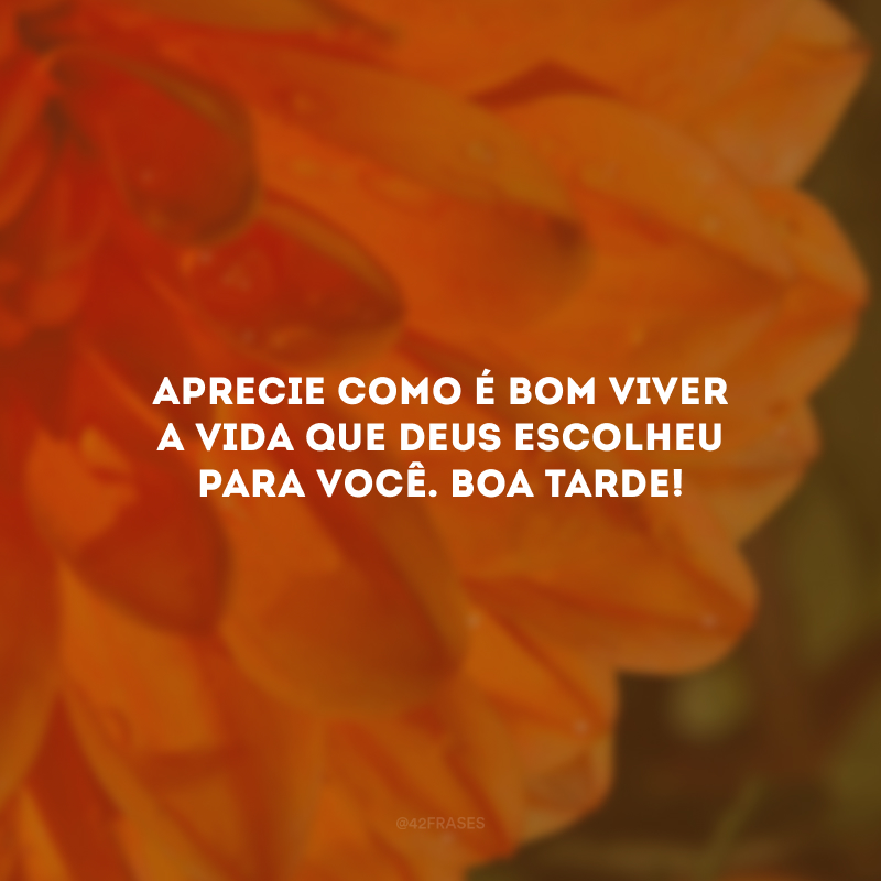 Aprecie como é bom viver a vida que Deus escolheu para você. Boa tarde!