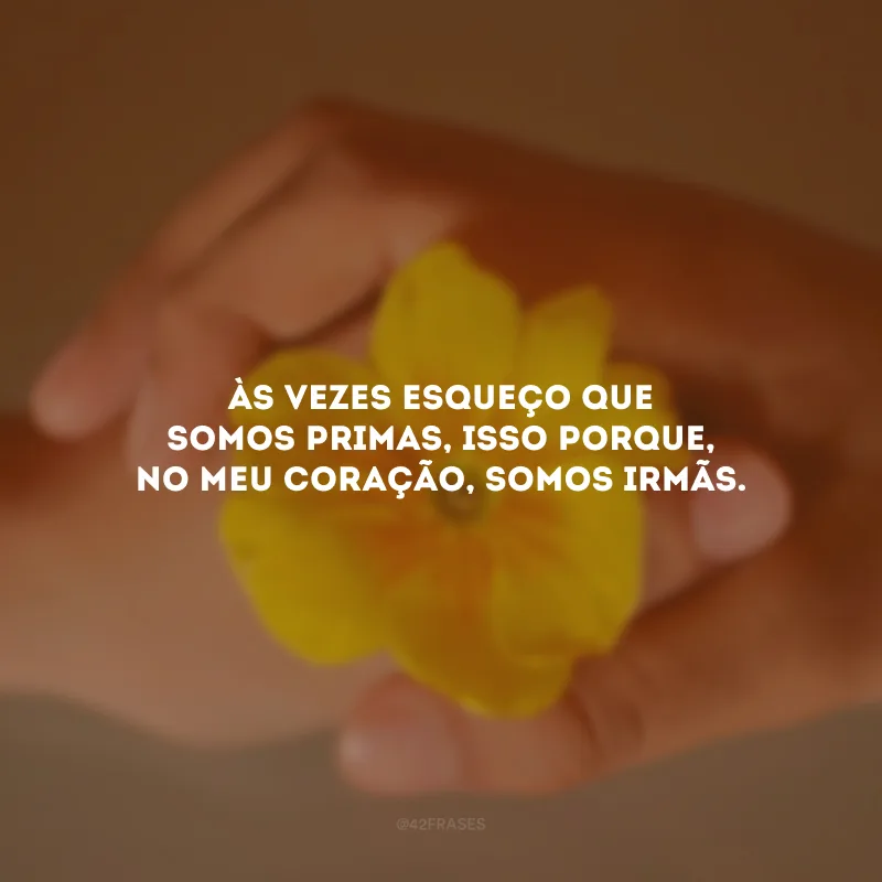 Às vezes esqueço que somos primas, isso porque, no meu coração, somos irmãs.