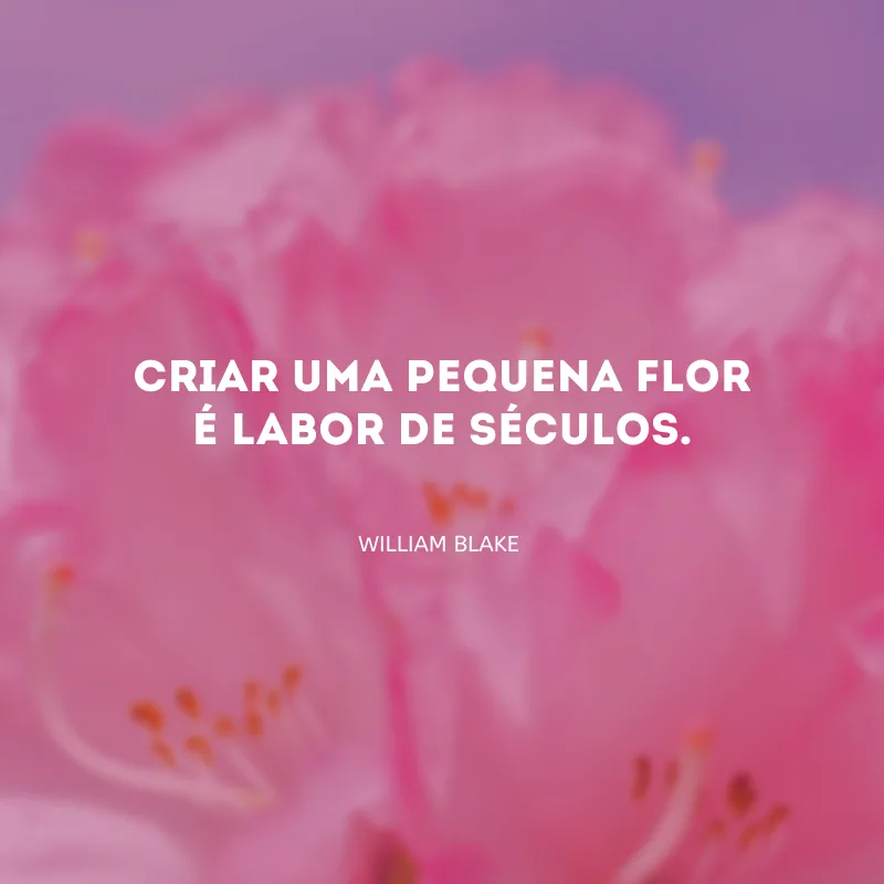 Criar uma pequena flor é labor de séculos.