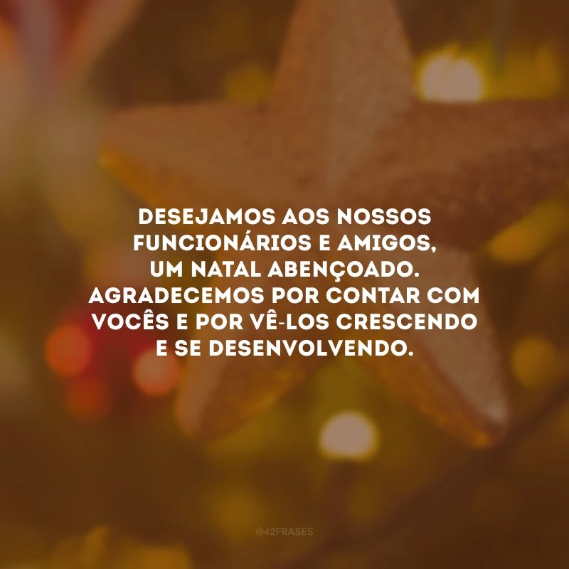 Desejamos aos nossos funcionários e amigos, um Natal abençoado. Agradecemos por contar com vocês e por vê-los crescendo e se desenvolvendo.