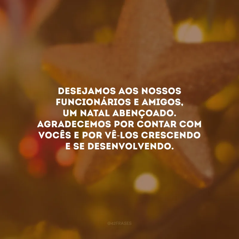 Desejamos aos nossos funcionários e amigos, um Natal abençoado. Agradecemos por contar com vocês e por vê-los crescendo e se desenvolvendo.
