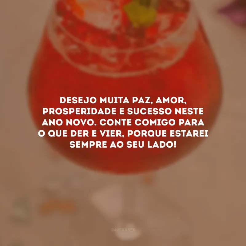 Desejo muita paz, amor, prosperidade e sucesso neste Ano Novo. Conte comigo para o que der e vier, porque estarei sempre ao seu lado!