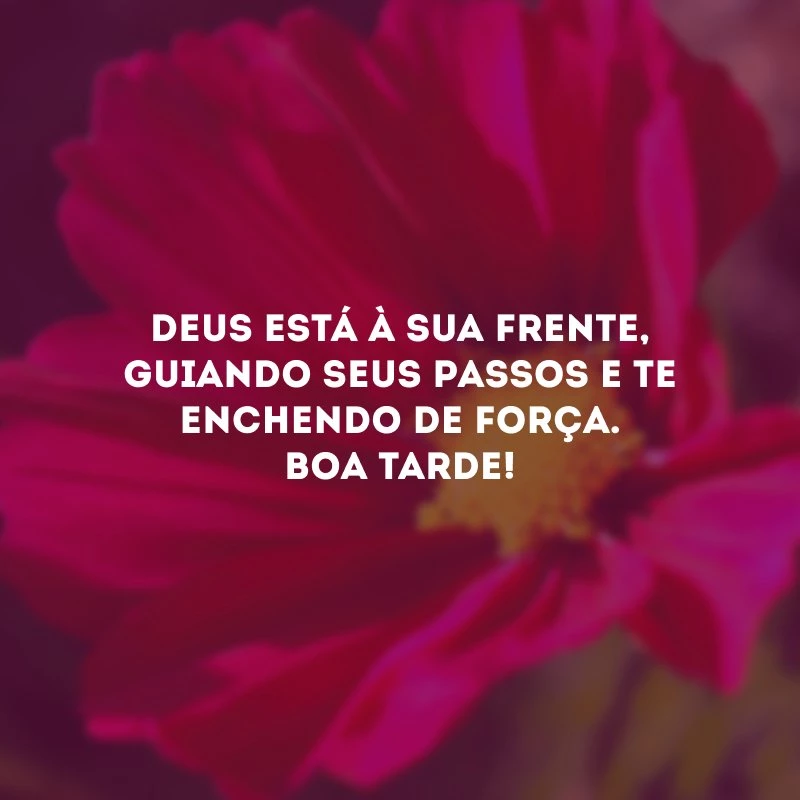 Deus está à sua frente, guiando seus passos e te enchendo de força. Boa tarde!