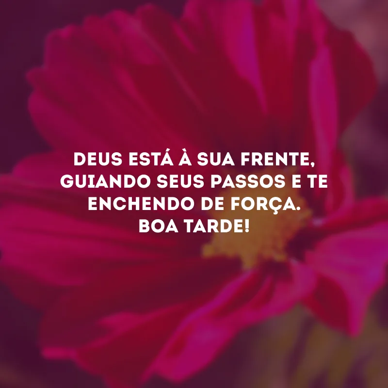 Deus está à sua frente, guiando seus passos e te enchendo de força. Boa tarde!