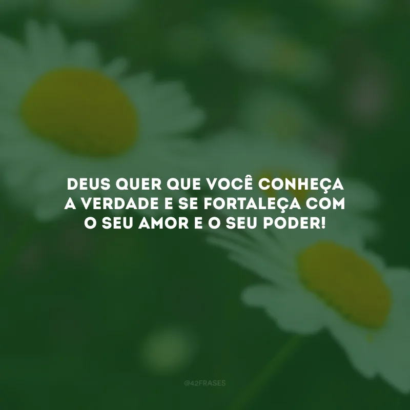 Deus quer que você conheça a verdade e se fortaleça com o Seu amor e o Seu poder!